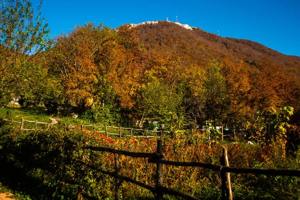 Tirana Albania Bellissimo Paesaggio Con Vista Sul Monte Dajti Parco — Foto Stock