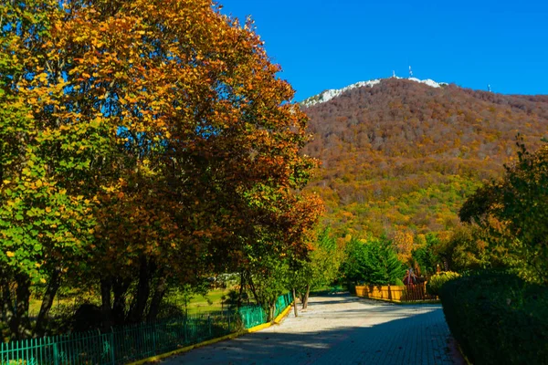 Tirana Albania Vacker Panoramautsikt Över Tirana Från Toppen Dajti Berget — Stockfoto