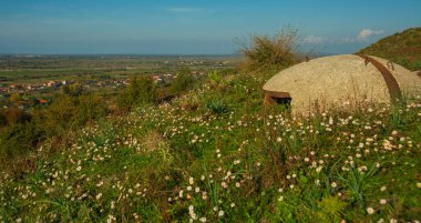 APOLONYA, ALBANIA: Apollonia, Fier, Arnavutluk yakınlarındaki kırsal bir arazide askeri sığınaklarla manzara