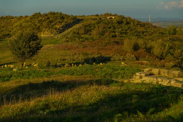 アポロニア アルバニア 古代都市アポロニアからのフィールドと牧草地の景色を望む美しい風景 — ストック写真