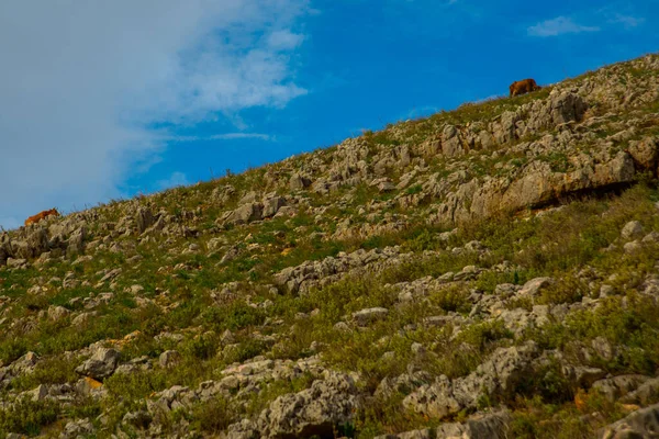 サランダ アルバニア 天気の良い日にサランダの小さな岩や石の景色と美しい風景 青い空白い雲 — ストック写真