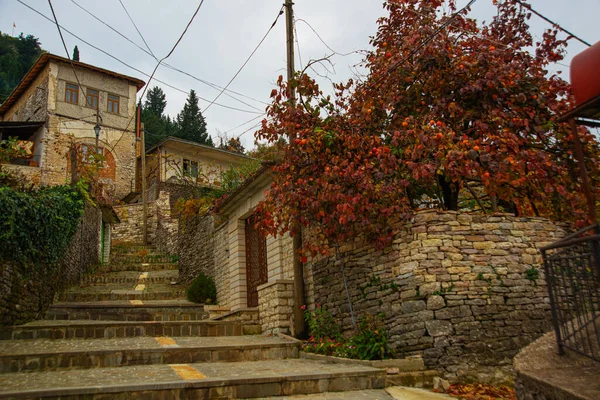 Gjirokastra Albânia Casas Antigas Parte Histórica Cidade Gjirokastra Albânia Património — Fotografia de Stock