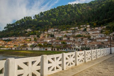 Berat, ALBANIA: Arnavutluk 'taki Osum Nehri üzerindeki taş köprü. UNESCO Dünya Mirası Alanı.