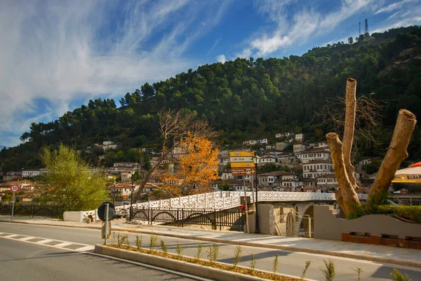 Berat Albania Stenbro Över Osum Floden Vid Berat Albanien Unescos — Stockfoto