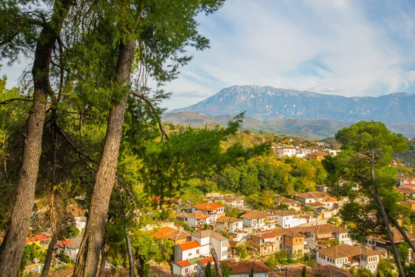 Berat Albania Bellissimo Paesaggio Con Vista Sulla Foresta Montagna Città — Foto Stock