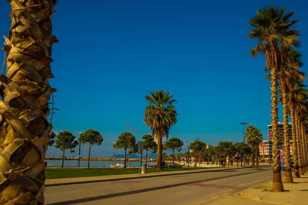 Vlora Vlore Albania Hoofdweg Palmen Nieuwe Promenade Het Centrum — Stockfoto