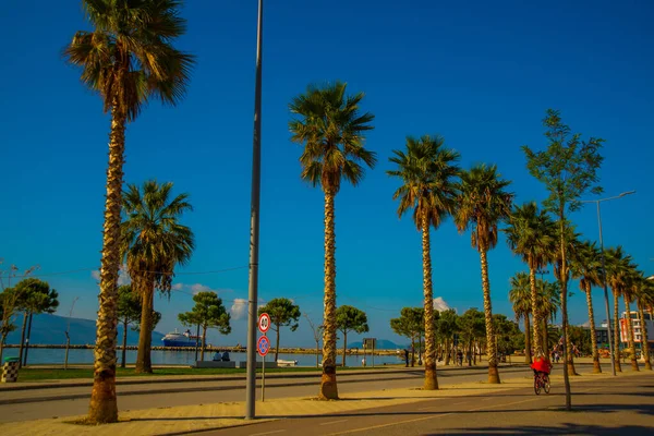 Vlora Vlore Albania Carretera Principal Palmeras Nuevo Paseo Marítimo Centro —  Fotos de Stock