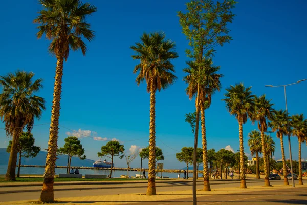 Vlora Vlore Albania Hoofdweg Palmen Nieuwe Promenade Het Centrum — Stockfoto