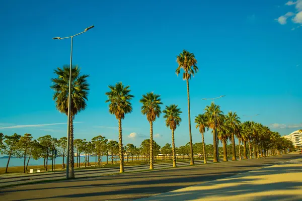 Vlora Vlore Albanie Route Principale Les Palmiers Nouvelle Promenade Dans — Photo