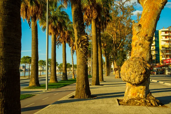 Vlora Vlore Albania Hoofdweg Palmen Nieuwe Promenade Het Centrum — Stockfoto