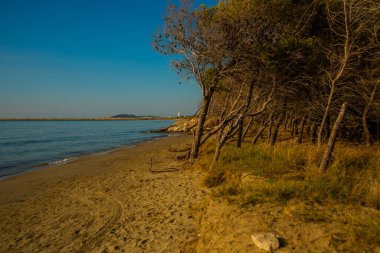 VLORA / VLORE, ALBANIA: Güneşli bir günde Vlora plajında ağaçlar ve denizlerle dolu güzel bir manzara