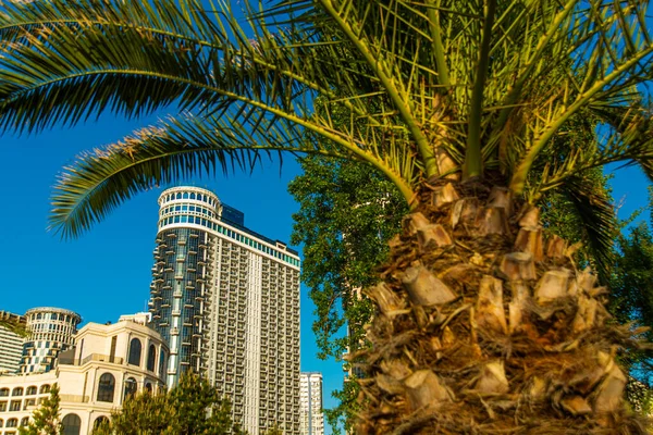 Batumi Georgia Coliseu Marina Hotel Estrelas Com Três Torres Marítimas — Fotografia de Stock