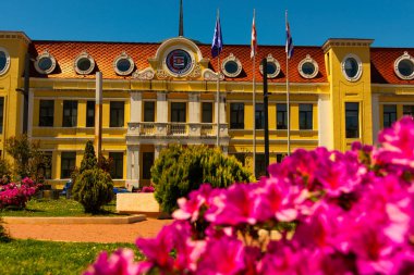 BATUMI, GEORGIA: Batumi Sanat Öğretmenliği Üniversitesi 'nin güzel binası, Demetre Tavdadebuli Caddesi, Batumi, Adjara Bölgesi.