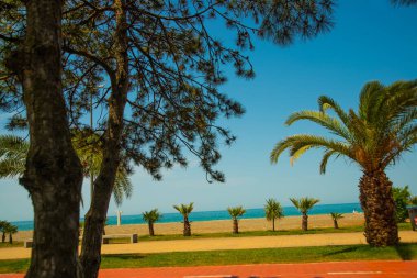 BATUMI, GEORGIA: Gürcistan 'ın Adjara bölgesindeki Batumi, Adjara' da deniz kenarında gezinti.