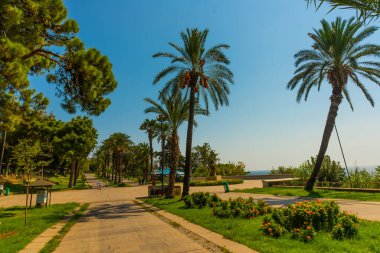 ANTALYA, TURKEY: Antalya 'da güneşli bir günde palmiye ağaçları olan Karaalioğlu Parkı. Yatay renk fotoğrafçılığı.