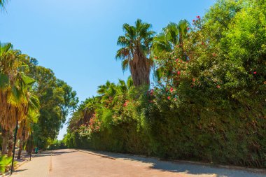 Palmiye ağaçları olan ve Türkiye 'nin Antalya kentindeki Lara plajına giden güzel bir park.