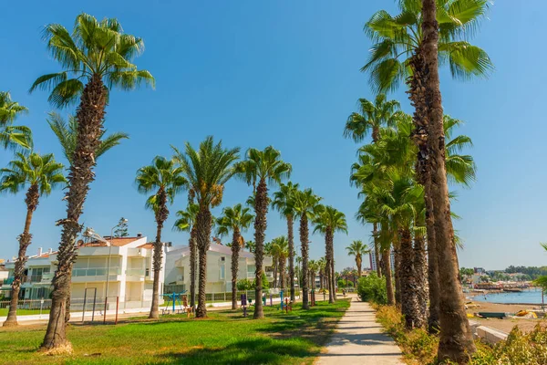 Palmiye Ağaçları Olan Türkiye Nin Antalya Kentindeki Lara Plajına Giden — Stok fotoğraf