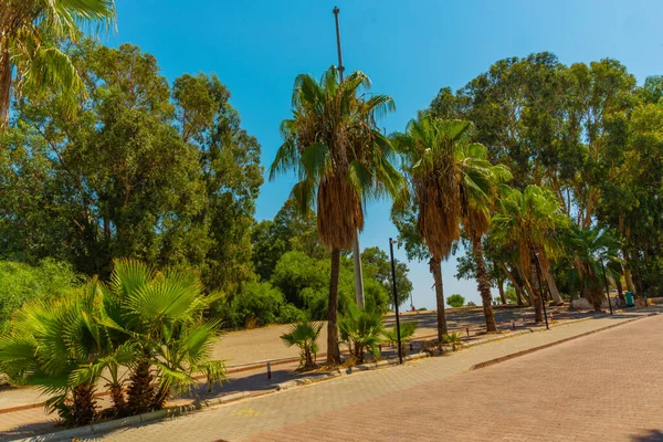 Antalia Turchia Bellissimo Parco Con Palme Che Conduce Alla Spiaggia — Foto Stock