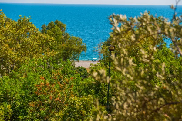 Antalya Turquia Belas Árvores Mar Mediterrâneo Praia Konyaalti Verão Ensolarado — Fotografia de Stock