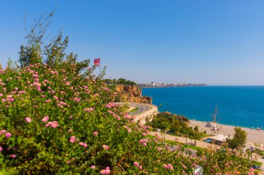 Türkiye 'nin Antalya kentinde güneşli bir yaz gününde Yılan yolu Konyaalti plajına çıkıyor.