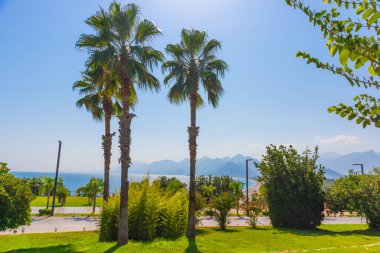 ANTALYA, TURKEY: Türkiye 'nin Antalya kentinde yazın Konyaalti plajına giden yol.