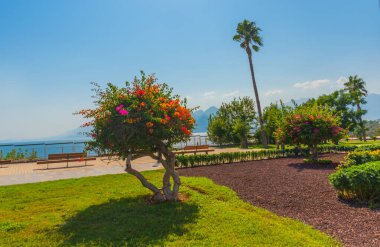 ANTALYA, TURKEY: Türkiye 'nin Antalya kentinde yazın Konyaalti plajına giden yol.