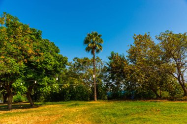 ANTALYA, TURKEY: Güneşli bir yaz gününde Antalya 'daki Atatürk Parkı' nda yaya yolu ve ağaçlar, Türkiye.