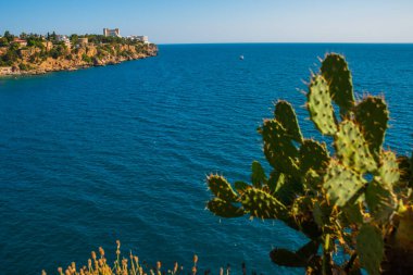 Türkiye 'nin Antalya kentindeki Atatürk Parkı' nda güneşli bir yaz gününde deniz manzarası ve kaktüs..