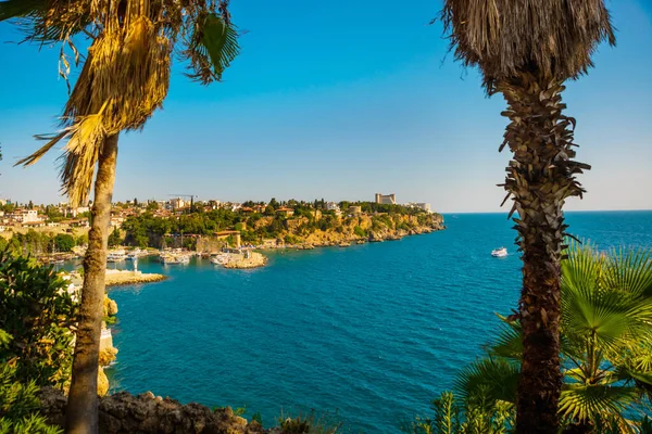 Antalya Turquía Hermoso Paisaje Mar Una Palmera Soleado Día Verano — Foto de Stock