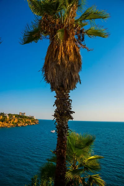 Анталия Турция Пейзаж Море Пальма Солнечный Летний День Парке Ататюрка — стоковое фото