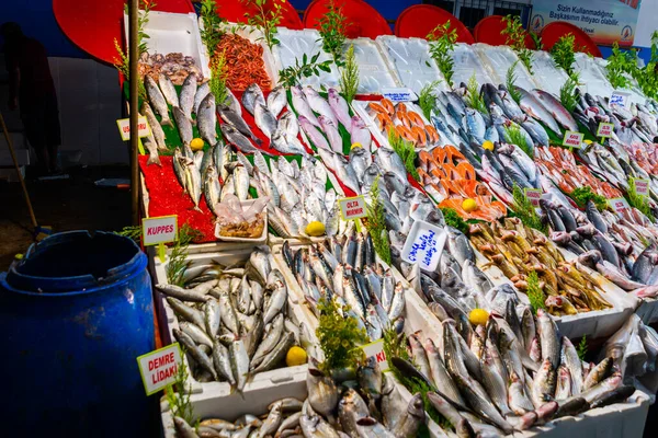 Antalya Turquia Venda Peixe Mercado Rua Mercearia Tradicional Bazar Turco — Fotografia de Stock