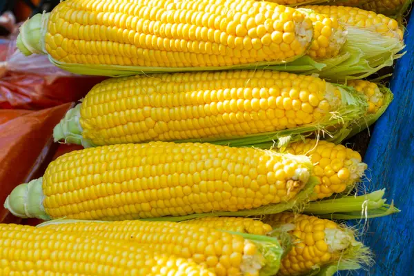 Antalya Türkei Verkauf Von Gelbem Mais Auf Einem Straßenmarkt Traditioneller — Stockfoto