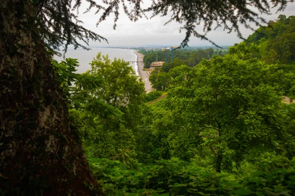 Kobuleti Georgia 曇り空の夏の日にコブレッティの海岸とビーチの美しいトップビュー — ストック写真