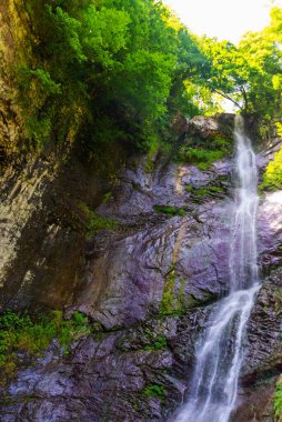 Bir yaz günü Mahuntseti ya da Mahuntseti 'nin güzel şelalesi. Hareket halindeki su bulanık. Bu Adjara 'daki en yüksek şelalelerden biridir..