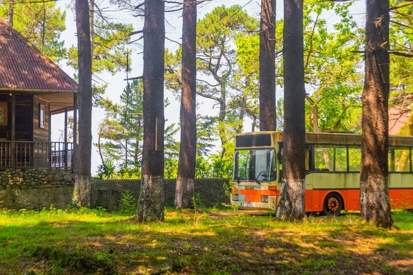 KOBULETI, GEORGIEN: Eine orthodoxe Holzkirche und ein alter deutscher Bus in einem schattigen Park. — Stockfoto