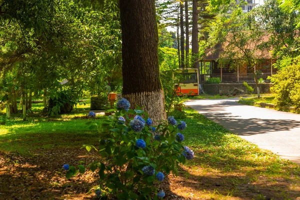 KOBULETİ, GEORGIA: Ahşap bir Ortodoks kilisesi ve gölgeli bir parkta eski bir Alman otobüsü. — Stok fotoğraf