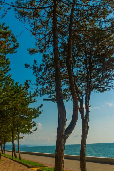 Kobuleti Georgien Landschaft Mit Blick Auf Die Strandpromenade Schwarzen Meer — Stockfoto