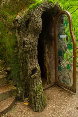 KUTAISI, GEORGIA: kilise içinde yapılan botanik bahçesindeki eşsiz ağaç. Meşe, Kırmızı Kitap 'ta yer alan Hartvis türüne aittir..