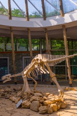 SATAPLIA, KUTAISI, IMERETİ, GEORGIA: Gürcistan 'ın Kutaisi kasabası yakınlarındaki Sataplia Doğa Koruma Alanı' nda bulunan dinozor iskeleti. Tükenmiş hayvanlar hakkında eğitim..