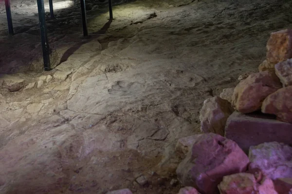 Sataplia Kutaisi Imereti Georgia Sataplia洞穴中的恐龙脚印 — 图库照片