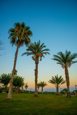 Antalya 'da bir yaz akşamı Şelale Duden yakınlarında güzel bir park..