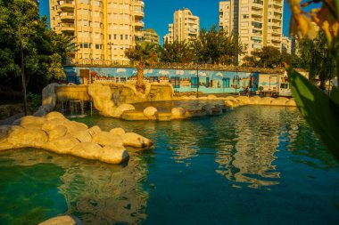 Güneşli bir yaz gününde Türkiye 'nin Antalya kentinin merkezinde fıskiyeli ve göletli güzel bir parkın manzarasıyla manzara.