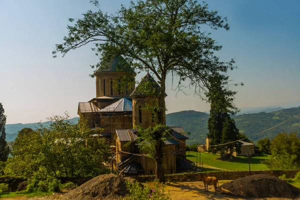 Kutaisi Imereti Georgia Contiene Iglesia Virgen Fundada Por Rey Georgia — Foto de Stock
