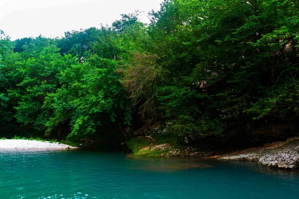 Canyon Martvili Georgia Bellissimo Canyon Naturale Con Vista Sul Fiume — Foto Stock