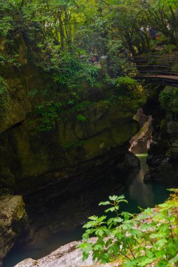 MARTVILI CANYON, GEORGIA: Bir yaz günü Martvili Kanyonu 'nda muhteşem ve mistik manzara.