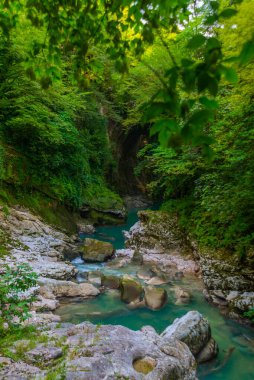 Martvili Kanyonu 'nda bir yaz günü Abasha Nehri' nde masmavi bir su vardı..