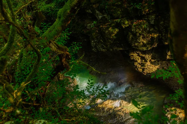 Martvili Canyon Georgie Fabuleux Mystique Paysage Dans Canyon Martvili Par — Photo