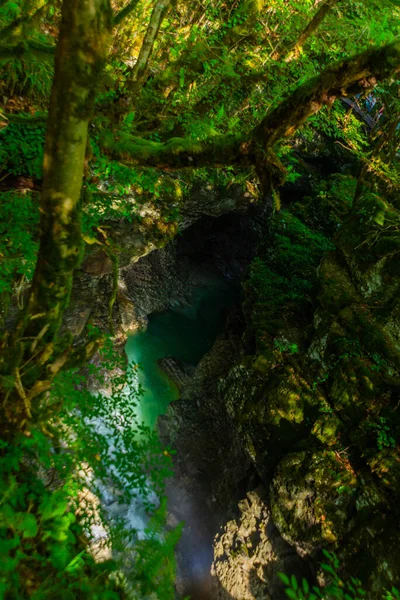 Martvili Canyon Georgia Paisagem Fabulosa Mística Desfiladeiro Martvili Dia Verão — Fotografia de Stock