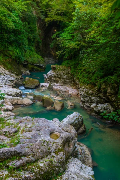 MARTVILI CANYON, GEORGIA: Bir yaz günü Martvili Kanyonu 'nda muhteşem ve mistik manzara.