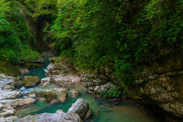 Martvili Canyon Georgia Paisagem Fabulosa Mística Desfiladeiro Martvili Dia Verão — Fotografia de Stock